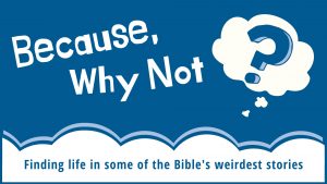 Because, Why Not? Sermon Series